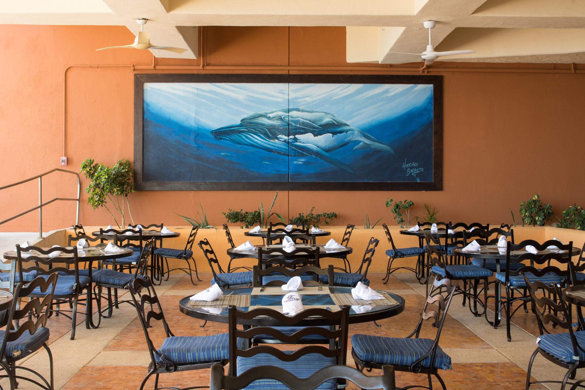 Club Regina Los Cabos Сан-Хосе-дель-Кабо Екстер'єр фото